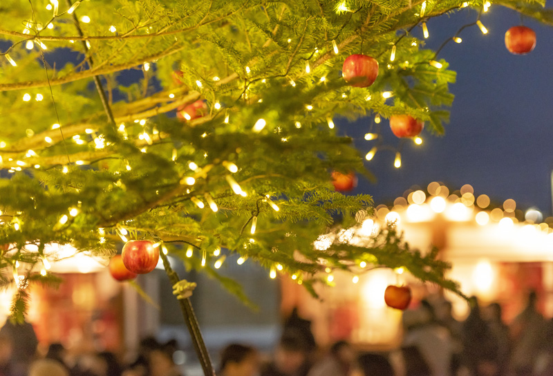 CHRISTMAS MARKET in アスパム